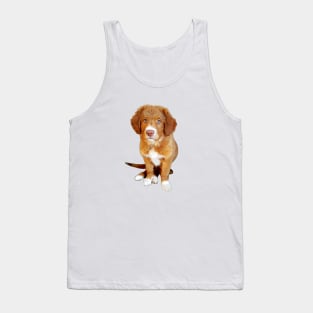 Nova scotia duck tolling retriever puppy dog Tank Top